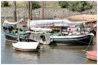 L&uuml;he-Ewer Elfriede