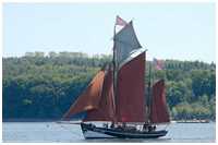 Fisch-Ewer Catarina ALT 287