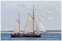 Besan-Ewer Flinth&ouml;rn