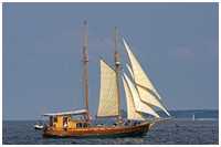 Gaffelschoner Phoenix