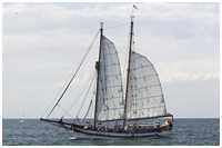 Robbenf&auml;nger Arny Maud