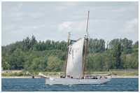 Lotsenschoner No. 5 Elbe