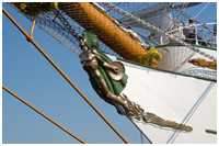 Bark Cuauht&eacute;moc