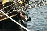 Haikutter Hanne-Marie