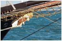 Dreimast-Gaffelschoner Regina Maris