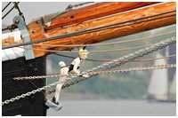 Dreimast-Bramsegelschoner Activ