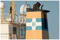 St&uuml;ckgutfrachter Trenden