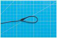 Stagmaus am Fockstag