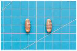 Abrunden des Bojenkörpers