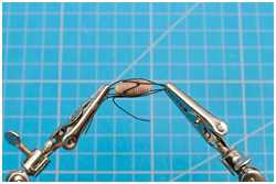 Anbringen des Bojenreeps