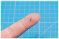 Haken für die Seitentaljen