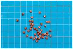 Blöcke aus dem Bausatz