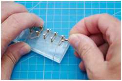 nach dem Durchtrocken der Bunschen