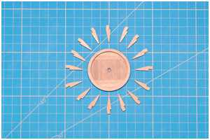 fertig bearbeitetet Rippen