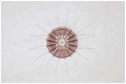 genaues Verkleben der Rippen