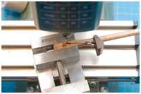 Scheibgatt für das Stengewindereep