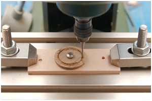 Marsrand fr&auml;sen