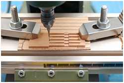 Schildpatten der Nockgordings