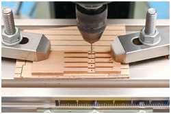 Schildpatten der Nockgordings