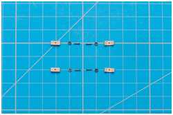 Schildpatten der Nockgordings