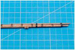 Schildpatten der Nockgordings