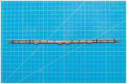 Schildpatten der Nockgordings