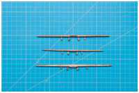 Marsrahen und Blinde