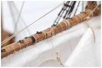 Schildpatt der Nockgordings