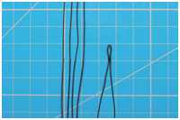 bekleidetes Auge der Stengewanten