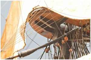 Foto: Daniel Fischer - mediaharmonists.de