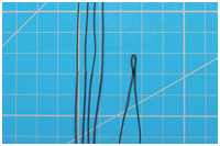 bekleidetes Auge der Stengewanten