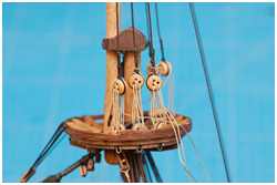 Scheren der Taljereeps