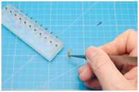 Abnehmen des getrockneten Bunschs