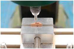 profilierte Schildpatts