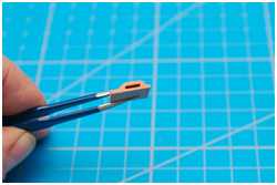 profilierte Schildpatts