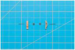 Schildpatts für die Toppsegelbuliens
