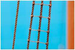 Webelein in der Nahansicht