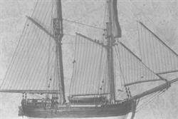 Brigg Port Jackson Baujahr 1989 - Scratch-Bau nach Plan als Toppsegelschoner - 1:50