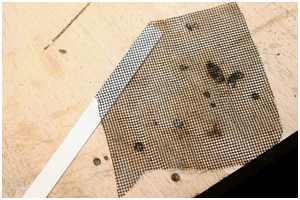 strukturierte Trittbretter