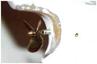 Fettauslassventil geöffnet