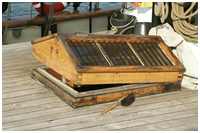 Auswahl der Hölzer für die Decksbeplankung