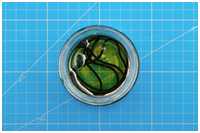 Seil in Firnis gelegt