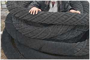 ein originaler Stag getrenst (Bild: Facebook)