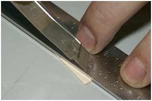 Schneiden der Fischung