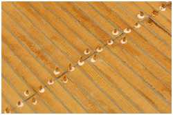 Imitation der Nagelung von Decksplanken