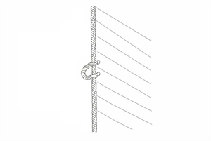 Legel binden (Bild: Wikipedia (gemeinfrei))