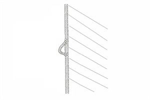 Legel binden (Bild: Wikipedia (gemeinfrei))