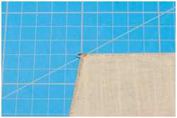 Rückseite vom Nocklegel