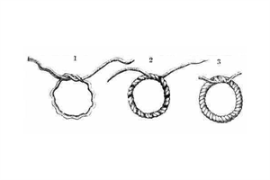 Bild: https://de.wikipedia.org/wiki/Grummet