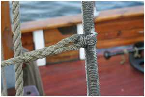 Spleiß beim Haikutter Hanne-Marie